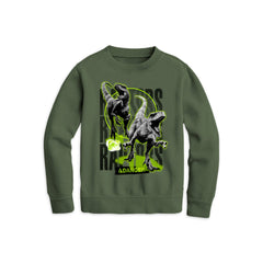 Boys Green Jurassic Park Raptor Graphic Sweatshirt